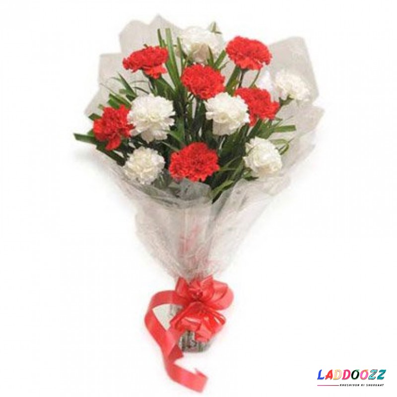 Red and White Carnation Fresh Flowers Bunch of 12